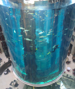 Now THAT'S a fish tank