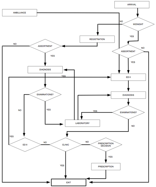 Figure 1: Emergency department process model (assumed process)