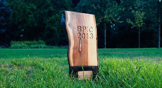 BPIC 2013 Award