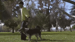 dog and owner doing synchronized backflips