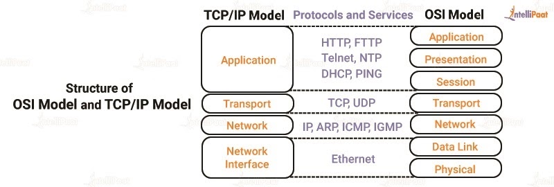 Structure of OSI Model and TCP/IP Model