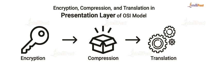 Encryption, Compression, and Translation in Presentation Layer of OSI Model
