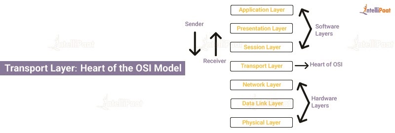 Transport Layer: Heart of the OSI Model