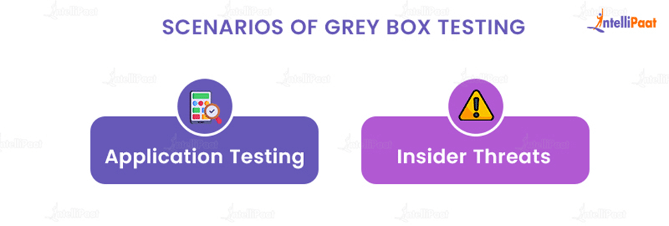 Scenarios of Grey Box Testing