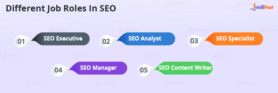 Different Job Roles In SEO