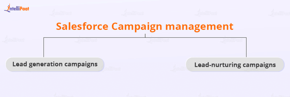 Salesforce Campaign Management
