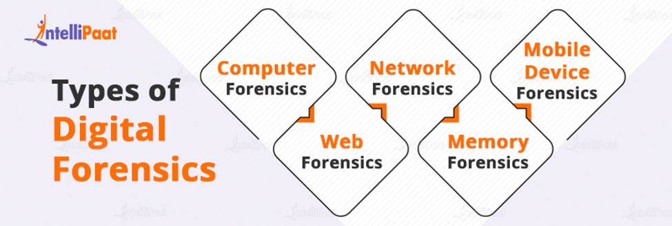 Types of Digital Forensics