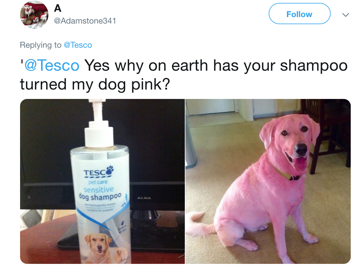 workflow examples tesco pink dog shampoo