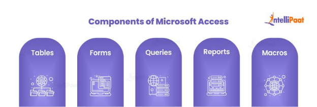 Components of Microsoft Access